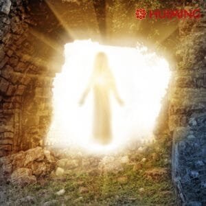 Vida Despues de la Vida